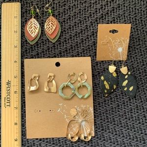 Earrings